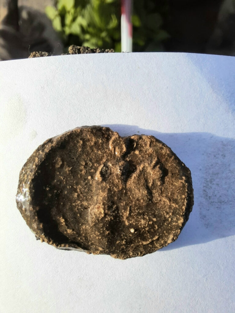 В Окском парке обнаружили княжескую печать 13 века