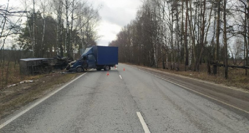 Стала известна причина лобового столкновения «ГАЗелей» под Муромом