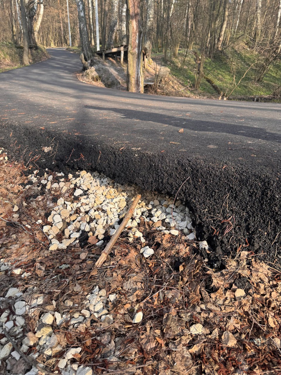 Лыжероллерная трасса в Муроме