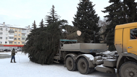 Установка новогодней ели в Муроме