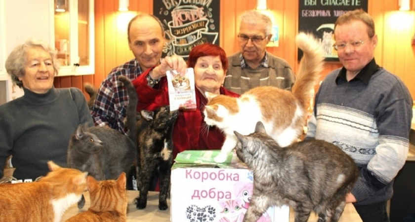 Волонтёры в Муроме собирают корма для животных в рамках акции