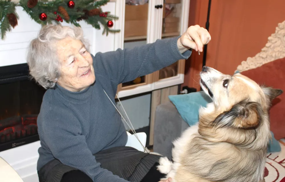 Участники акции в Муроме общаются с животными в зоокафе