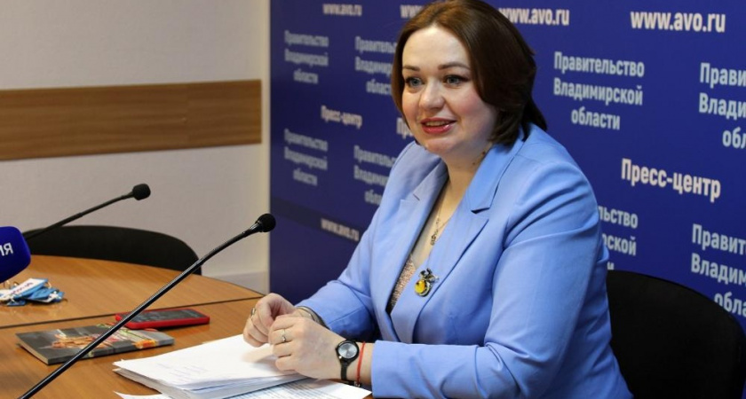 Министр молодежной политики Владимирской области Елена Янина на встрече с журналистами