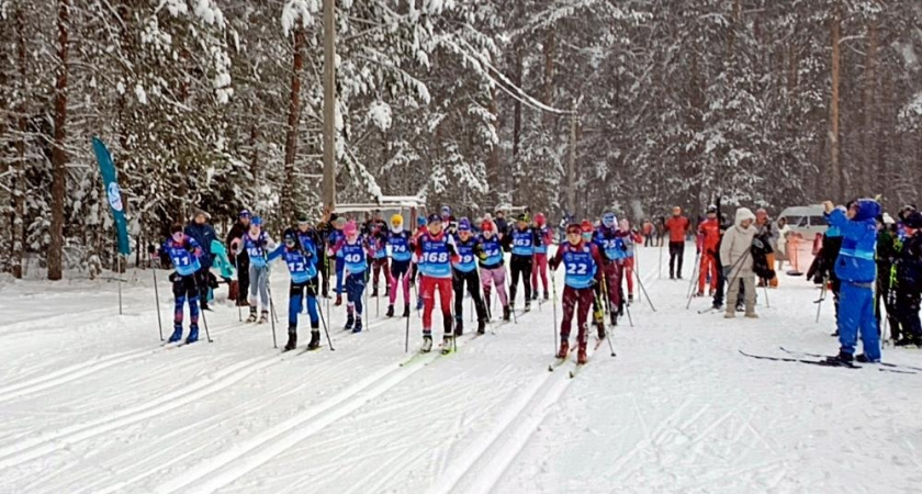 Участники спортивных новогодних мероприятий во Владимирской области