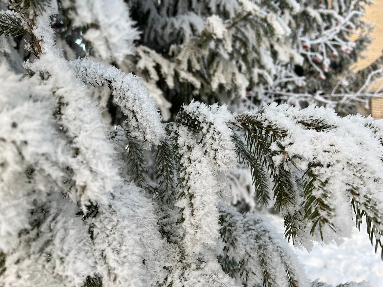 Снегопады в Центральной России установили исторические рекорды