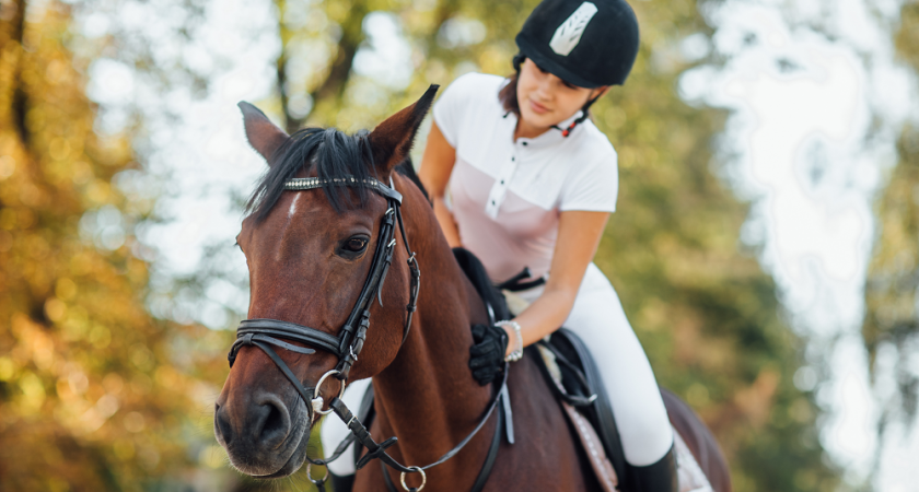 Всероссийские соревнования по конному спорту пройдут в посёлке Красное Эхо