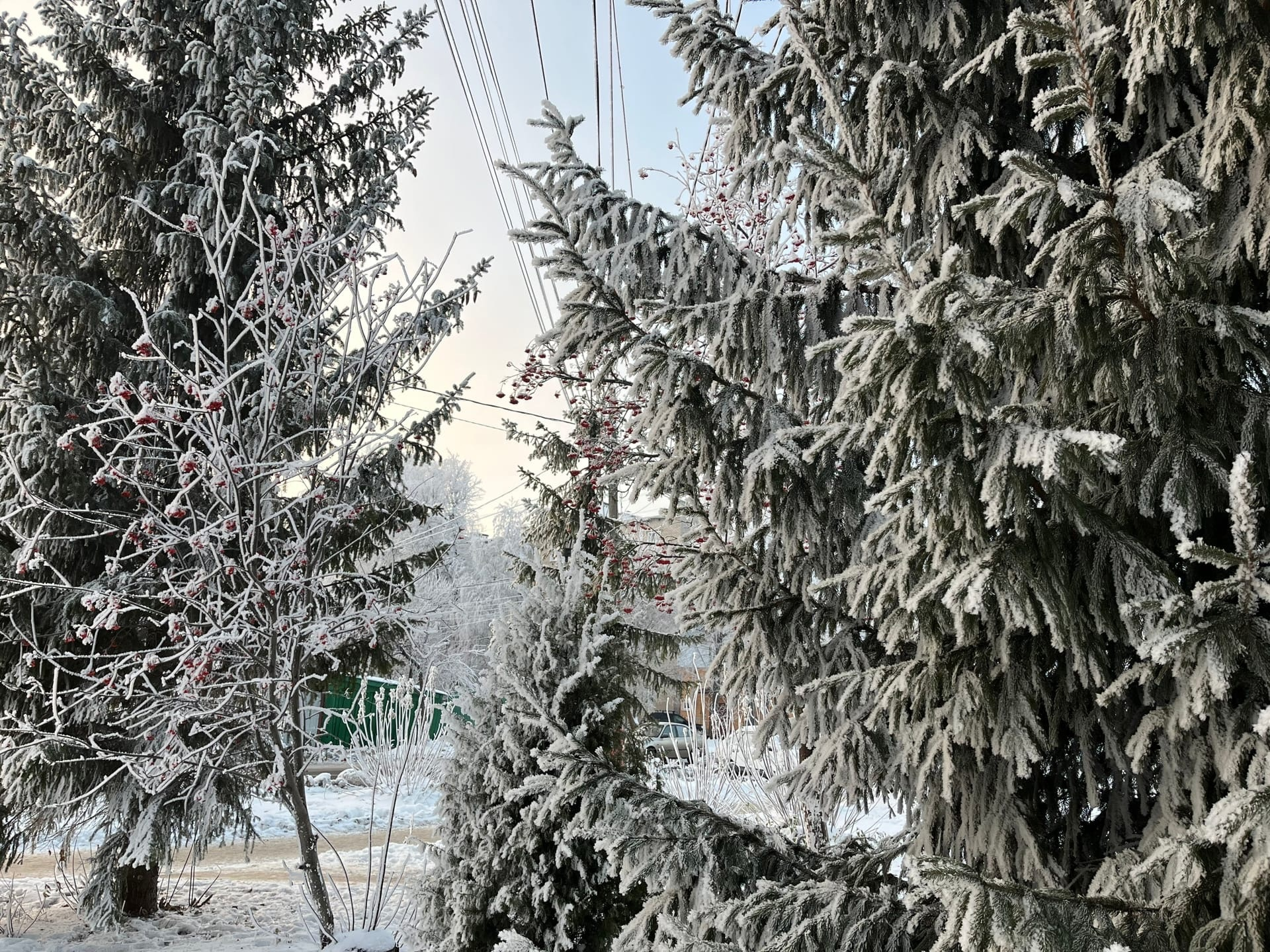 Инфографика или изображение, связанное с предупреждением МЧС об аномальных морозах