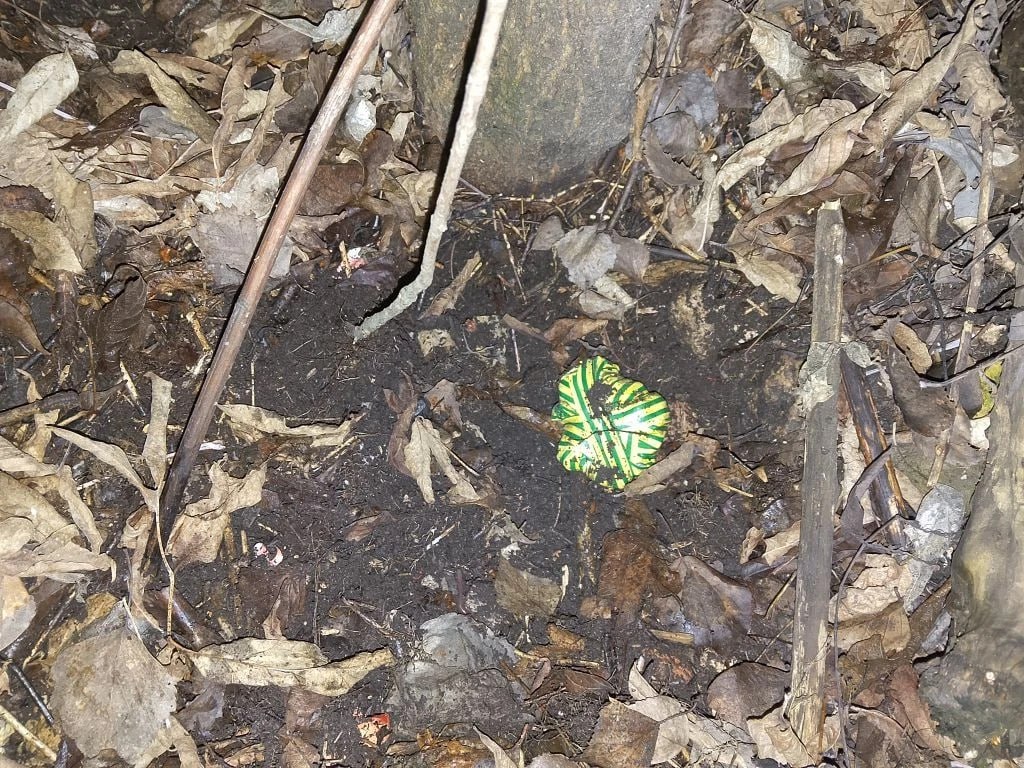 Дополнительные изъятые наркотики в Муроме