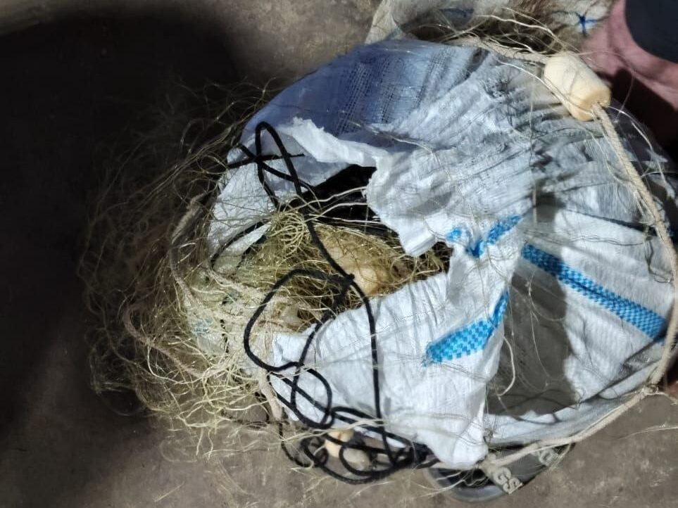 Иллюстрация к делу о браконьерстве в Муроме