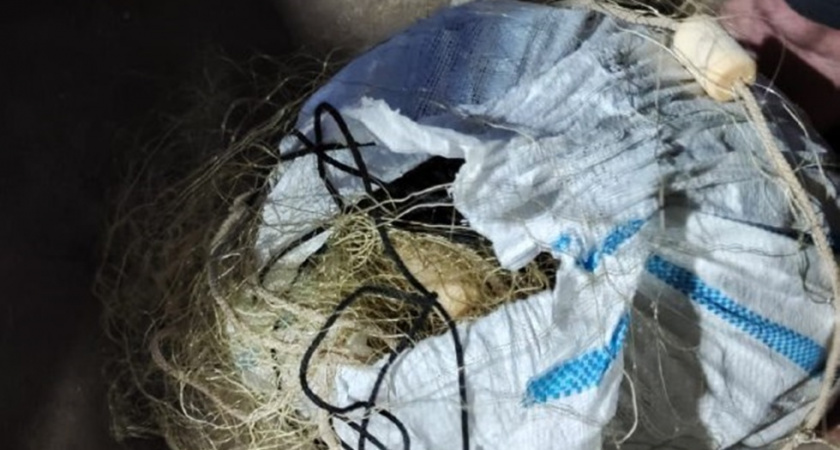 Иллюстрация к делу о незаконном вылове стерляди на Оке