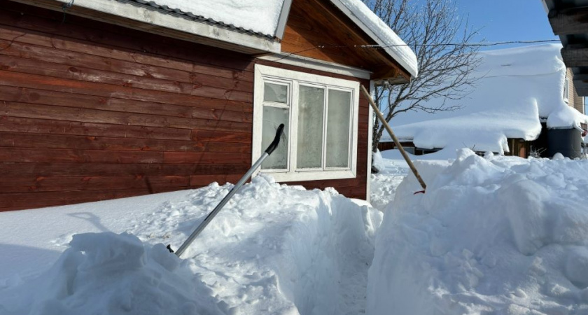 Трое жителей Мурома обворовывали деревенские дома