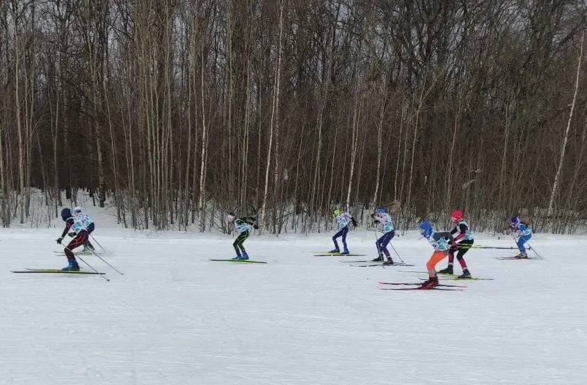 Лыжный марафон памяти Алексея Прокуророва во Владимире