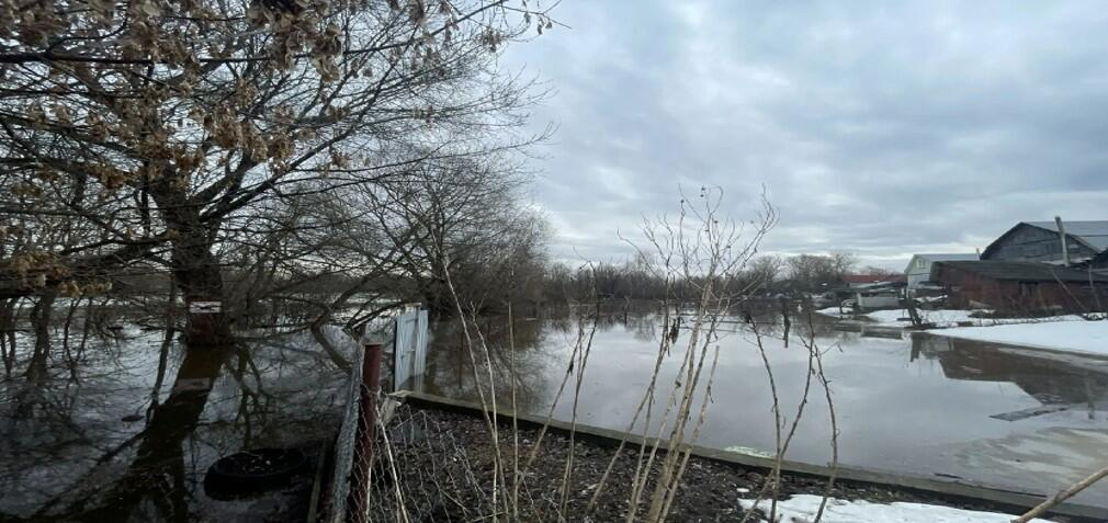 Трагедия на реке Ока в Меленковском районе