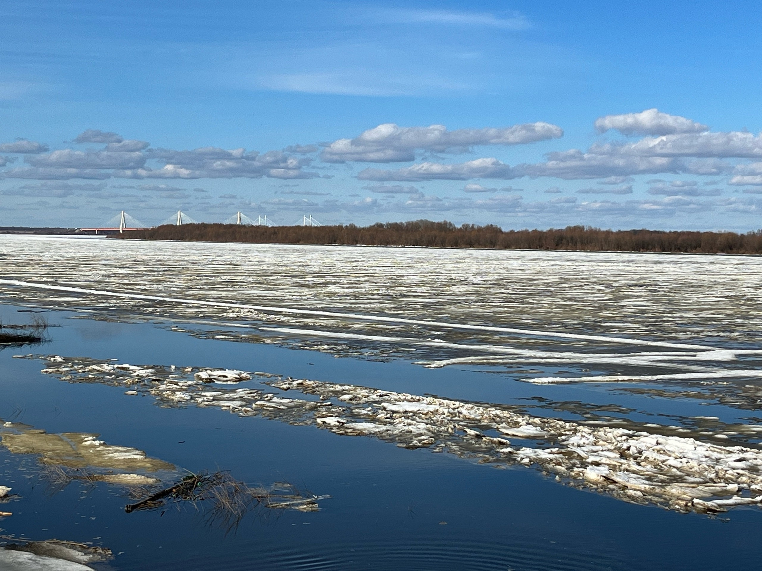 Инфографика с рекомендациями Роспотребнадзора по безопасности воды в паводковый период
