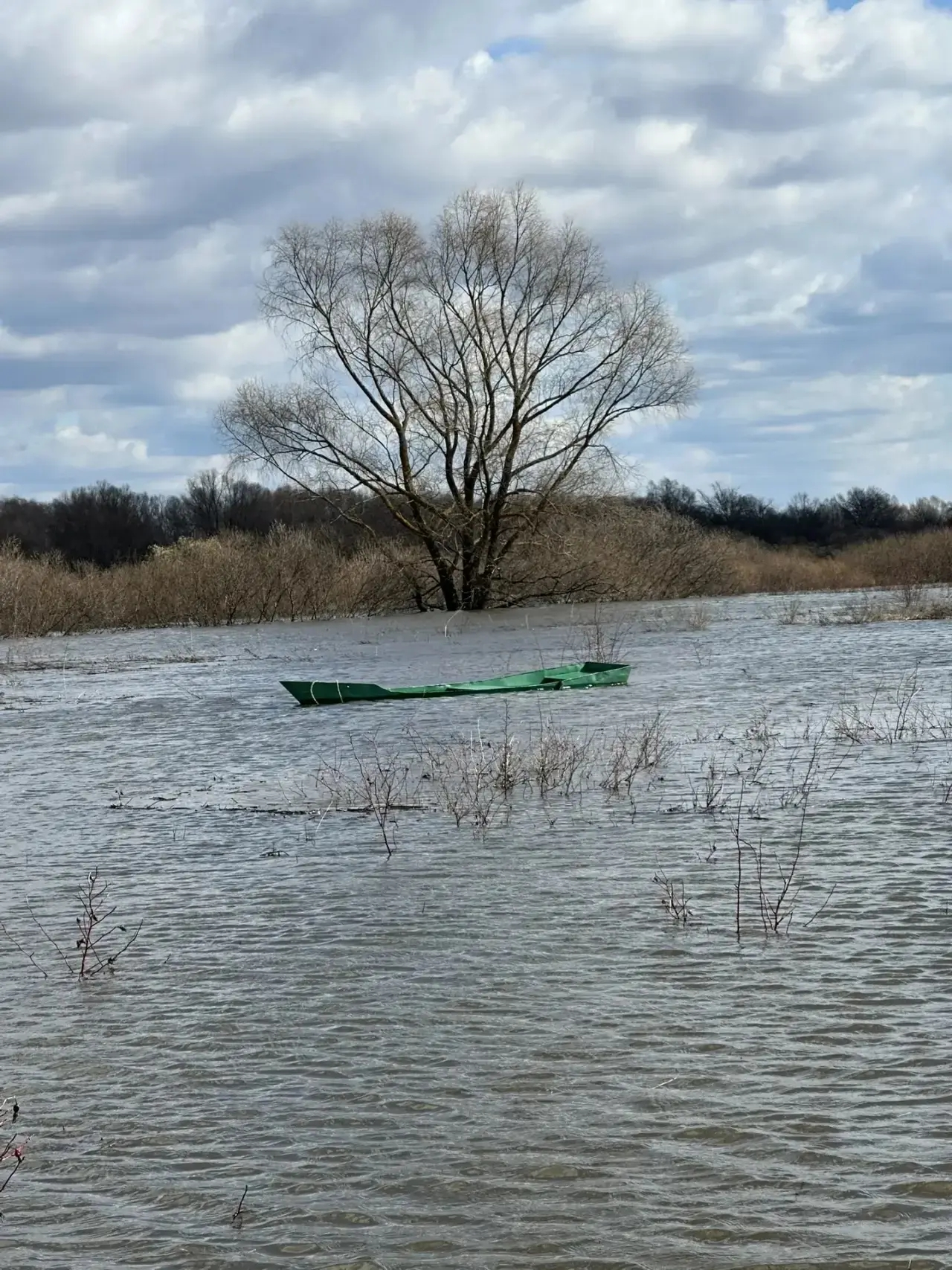 Иллюстрация к новости о происшествии на реке Оке